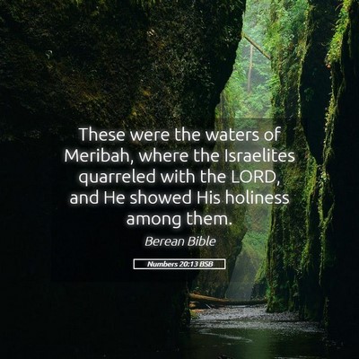 Picture 05 - Numbers 20:13 BSB - These were the waters of Meribah, where the - Bible Verse Picture