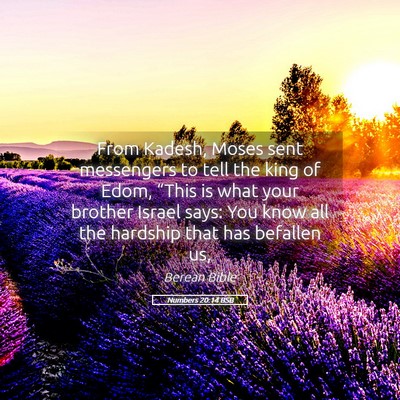 Picture 05 - Numbers 20:14 BSB - From Kadesh, Moses sent messengers to tell the - Bible Verse Picture