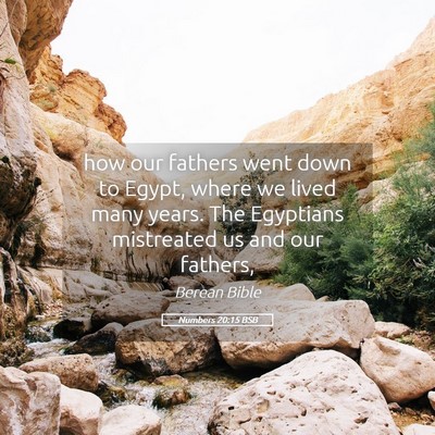 Picture 05 - Numbers 20:15 BSB - how our fathers went down to Egypt, where we - Bible Verse Picture