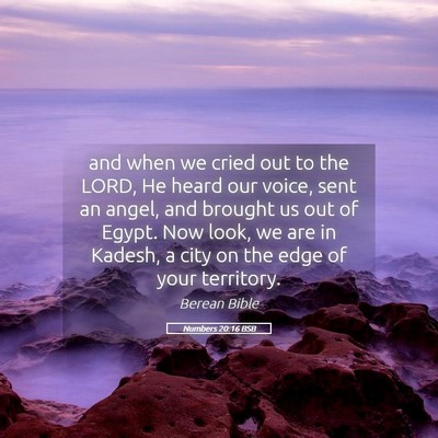 Picture 05 - Numbers 20:16 BSB - and when we cried out to the LORD, He heard our - Bible Verse Picture