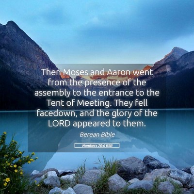 Picture 05 - Numbers 20:6 BSB - Then Moses and Aaron went from the presence of - Bible Verse Picture