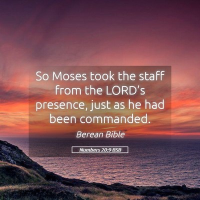Picture 05 - Numbers 20:9 BSB - So Moses took the staff from the LORD’s - Bible Verse Picture