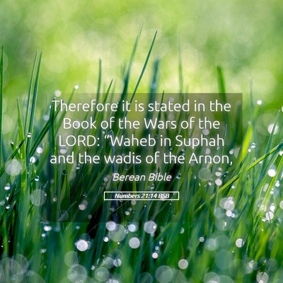 Picture 05 - Numbers 21:14 BSB - Therefore it is stated in the Book of the Wars of - Bible Verse Picture