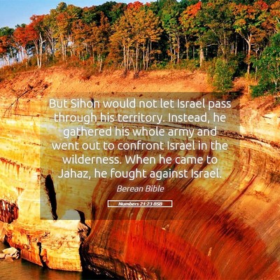 Picture 05 - Numbers 21:23 BSB - But Sihon would not let Israel pass through his - Bible Verse Picture
