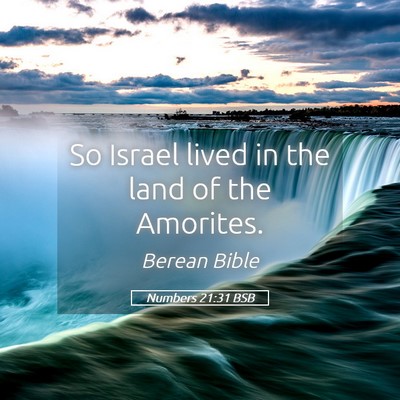 Picture 05 - Numbers 21:31 BSB - So Israel lived in the land of the - Bible Verse Picture