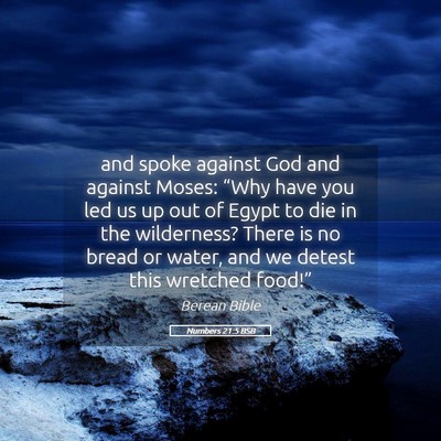Picture 05 - Numbers 21:5 BSB - and spoke against God and against Moses: “Why - Bible Verse Picture
