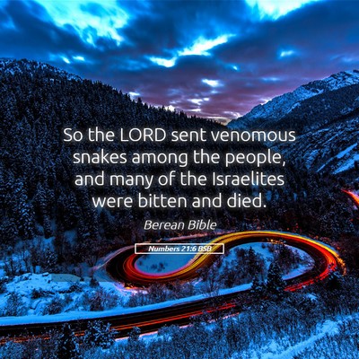 Picture 05 - Numbers 21:6 BSB - So the LORD sent venomous snakes among the - Bible Verse Picture