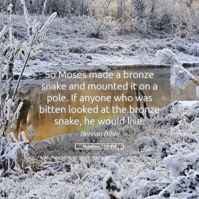 Picture 05 - Numbers 21:9 BSB - So Moses made a bronze snake and mounted it on a - Bible Verse Picture