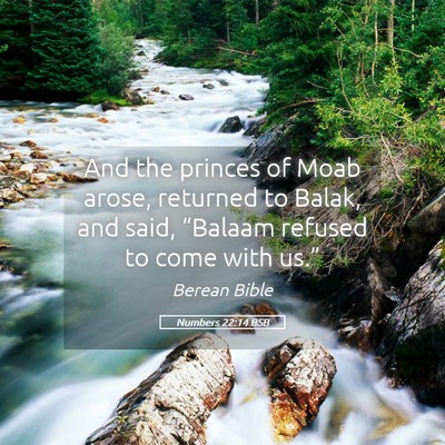 Picture 05 - Numbers 22:14 BSB - And the princes of Moab arose, returned to Balak, - Bible Verse Picture