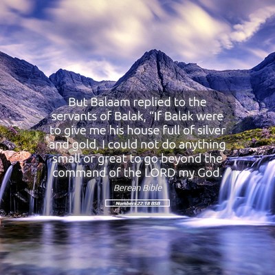 Picture 05 - Numbers 22:18 BSB - But Balaam replied to the servants of Balak, - Bible Verse Picture