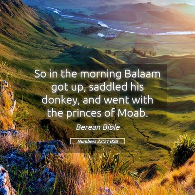Picture 05 - Numbers 22:21 BSB - So in the morning Balaam got up, saddled his - Bible Verse Picture