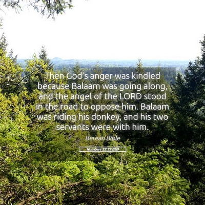 Picture 05 - Numbers 22:22 BSB - Then God’s anger was kindled because Balaam was - Bible Verse Picture