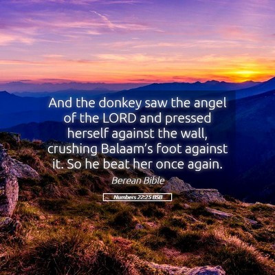 Picture 05 - Numbers 22:25 BSB - And the donkey saw the angel of the LORD and - Bible Verse Picture