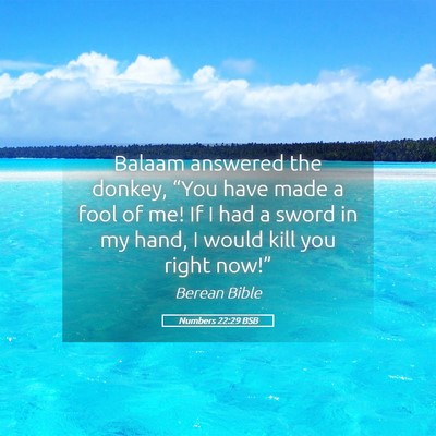 Picture 05 - Numbers 22:29 BSB - Balaam answered the donkey, “You have made a - Bible Verse Picture