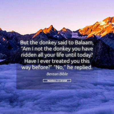 Picture 05 - Numbers 22:30 BSB - But the donkey said to Balaam, “Am I not the - Bible Verse Picture
