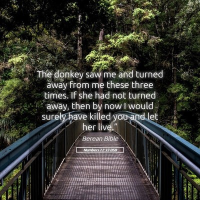 Picture 05 - Numbers 22:33 BSB - The donkey saw me and turned away from me these - Bible Verse Picture
