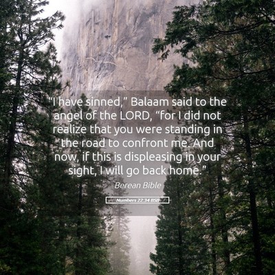 Picture 05 - Numbers 22:34 BSB - “I have sinned,” Balaam said to the angel of - Bible Verse Picture