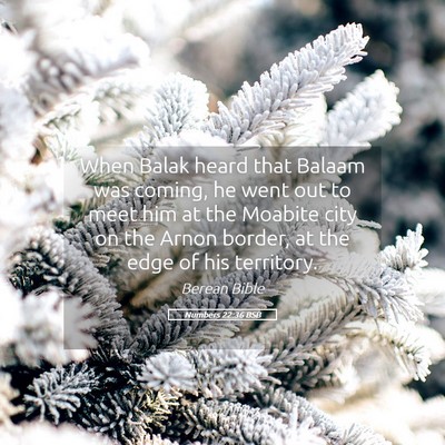 Picture 05 - Numbers 22:36 BSB - When Balak heard that Balaam was coming, he went - Bible Verse Picture