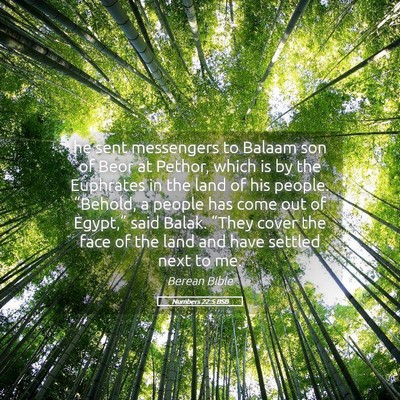 Picture 05 - Numbers 22:5 BSB - he sent messengers to Balaam son of Beor at - Bible Verse Picture