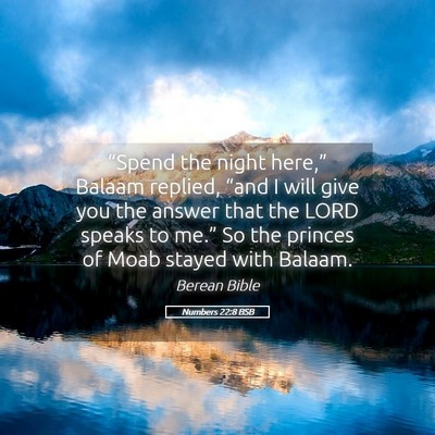 Picture 05 - Numbers 22:8 BSB - “Spend the night here,” Balaam replied, - Bible Verse Picture
