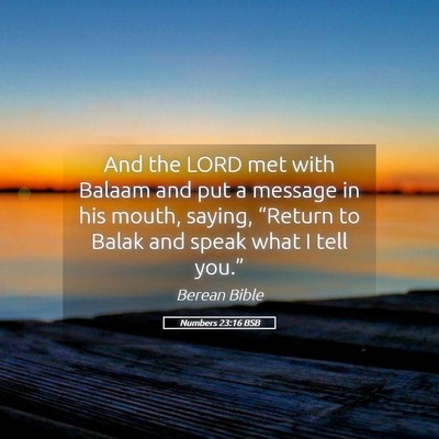 Picture 05 - Numbers 23:16 BSB - And the LORD met with Balaam and put a message in - Bible Verse Picture