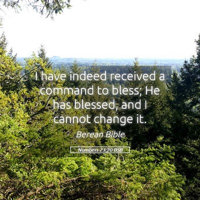 Picture 05 - Numbers 23:20 BSB - I have indeed received a command to bless; He has - Bible Verse Picture