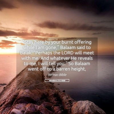 Picture 05 - Numbers 23:3 BSB - “Stay here by your burnt offering while I am - Bible Verse Picture