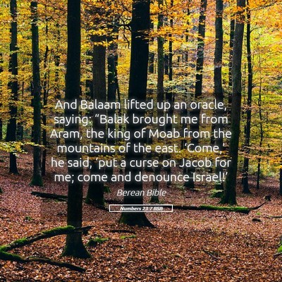 Picture 05 - Numbers 23:7 BSB - And Balaam lifted up an oracle, saying: “Balak - Bible Verse Picture