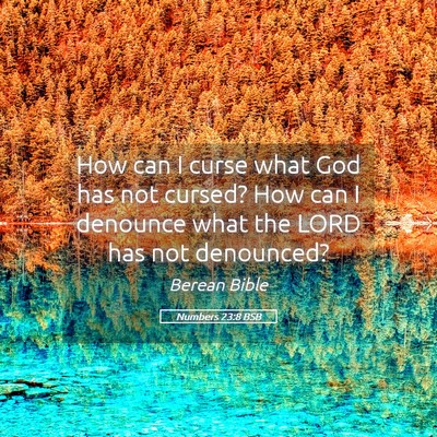 Picture 05 - Numbers 23:8 BSB - How can I curse what God has not cursed? How can - Bible Verse Picture