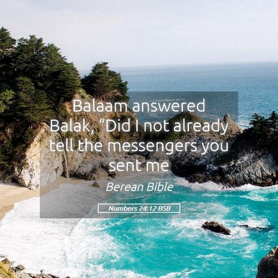 Picture 05 - Numbers 24:12 BSB - Balaam answered Balak, “Did I not already tell - Bible Verse Picture