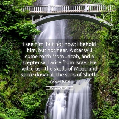 Picture 05 - Numbers 24:17 BSB - I see him, but not now; I behold him, but not - Bible Verse Picture