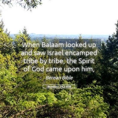 Picture 05 - Numbers 24:2 BSB - When Balaam looked up and saw Israel encamped - Bible Verse Picture