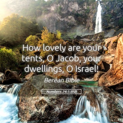Picture 05 - Numbers 24:5 BSB - How lovely are your tents, O Jacob, your - Bible Verse Picture