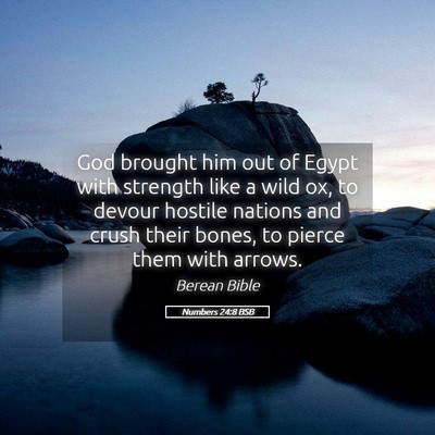 Picture 05 - Numbers 24:8 BSB - God brought him out of Egypt with strength like a - Bible Verse Picture