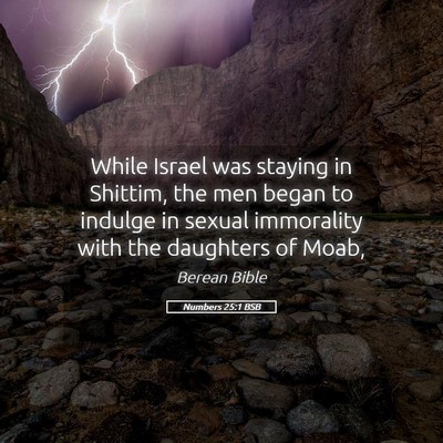 Picture 05 - Numbers 25:1 BSB - While Israel was staying in Shittim, the men - Bible Verse Picture