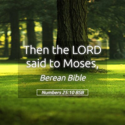 Picture 05 - Numbers 25:10 BSB - Then the LORD said to - Bible Verse Picture