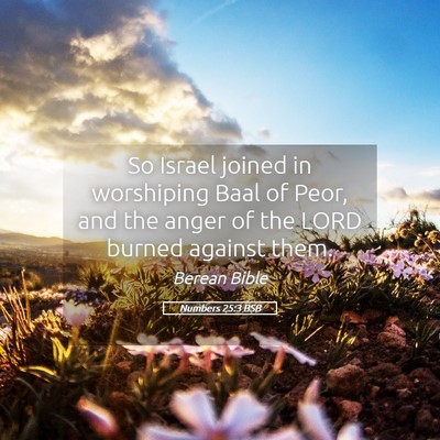 Picture 05 - Numbers 25:3 BSB - So Israel joined in worshiping Baal of Peor, and - Bible Verse Picture
