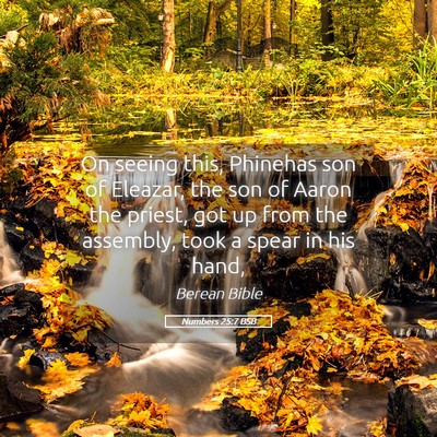 Picture 05 - Numbers 25:7 BSB - On seeing this, Phinehas son of Eleazar, the son - Bible Verse Picture
