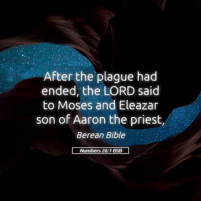 Picture 05 - Numbers 26:1 BSB - After the plague had ended, the LORD said to - Bible Verse Picture