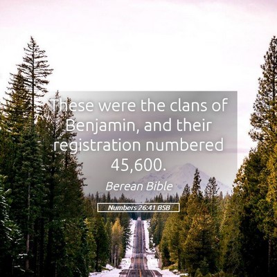 Picture 05 - Numbers 26:41 BSB - These were the clans of Benjamin, and their - Bible Verse Picture