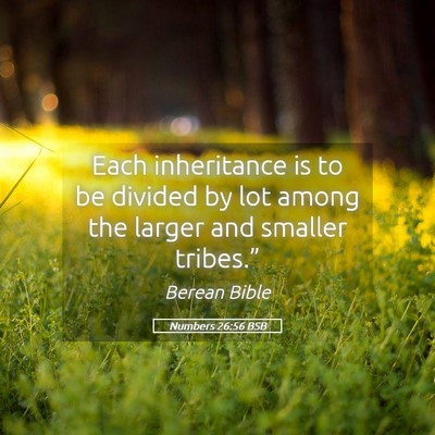 Picture 05 - Numbers 26:56 BSB - Each inheritance is to be divided by lot among - Bible Verse Picture