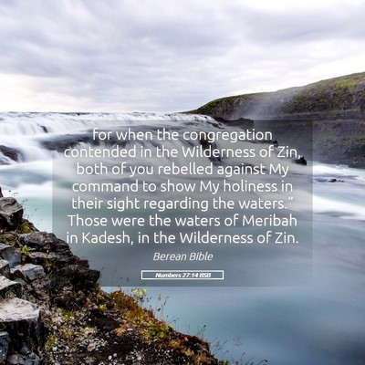 Picture 05 - Numbers 27:14 BSB - for when the congregation contended in the - Bible Verse Picture