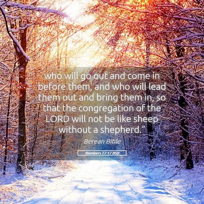 Picture 05 - Numbers 27:17 BSB - who will go out and come in before them, and who - Bible Verse Picture