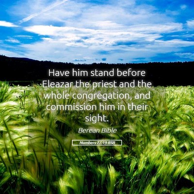 Picture 05 - Numbers 27:19 BSB - Have him stand before Eleazar the priest and the - Bible Verse Picture