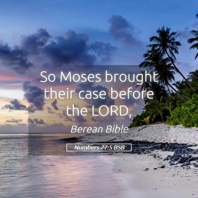 Picture 05 - Numbers 27:5 BSB - So Moses brought their case before the - Bible Verse Picture