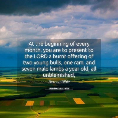 Picture 05 - Numbers 28:11 BSB - At the beginning of every month, you are to - Bible Verse Picture