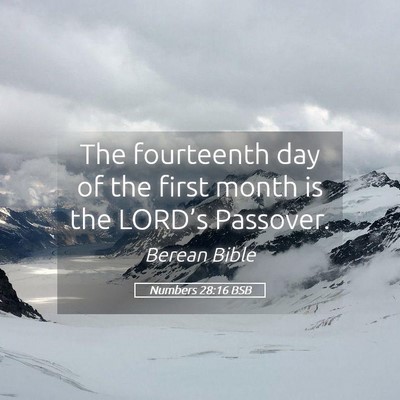 Picture 05 - Numbers 28:16 BSB - The fourteenth day of the first month is the - Bible Verse Picture