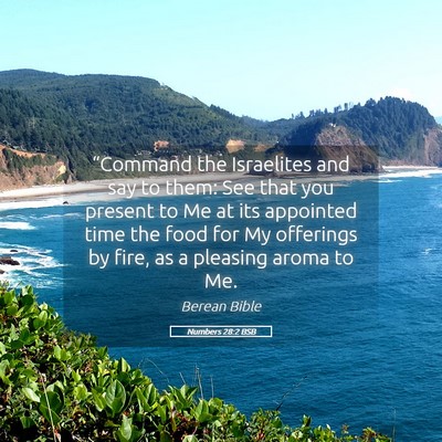 Picture 05 - Numbers 28:2 BSB - “Command the Israelites and say to them: See - Bible Verse Picture
