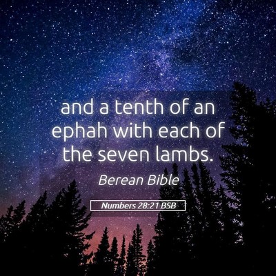 Picture 05 - Numbers 28:21 BSB - and a tenth of an ephah with each of the seven - Bible Verse Picture