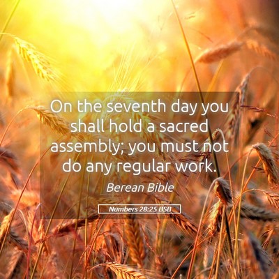 Picture 05 - Numbers 28:25 BSB - On the seventh day you shall hold a sacred - Bible Verse Picture